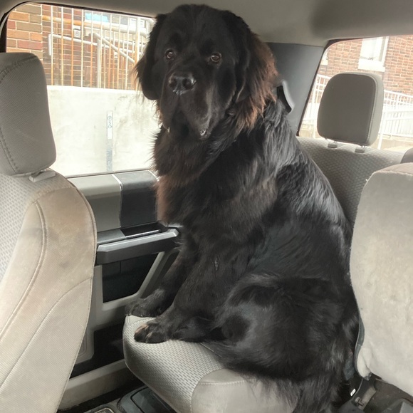 Meet your Posher, Alexandra (Alexia) - Picture 12 of 13